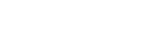 Appex logo
